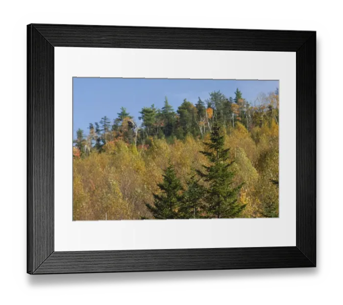 Framed Print : Albany Mountain fall colors, Maine Framed Print : Albany Mountain fall colors, Maine