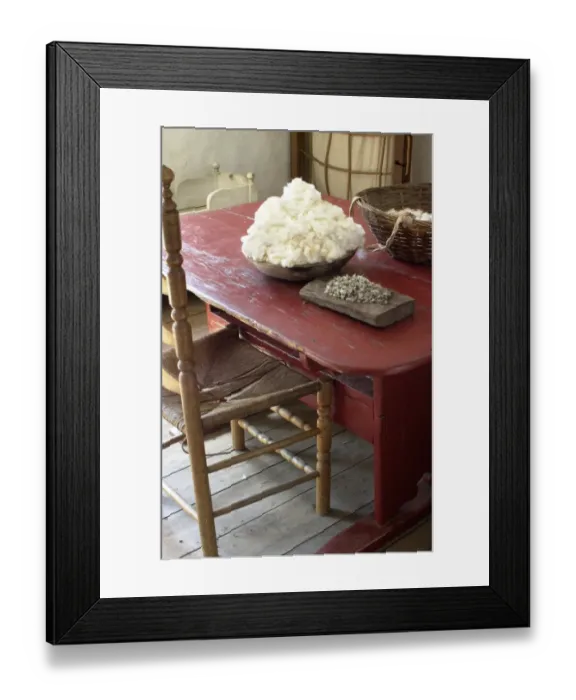 Framed Print : Cotton cleaned by hand, South Carolina Framed Print : Cotton cleaned by hand, South Carolina