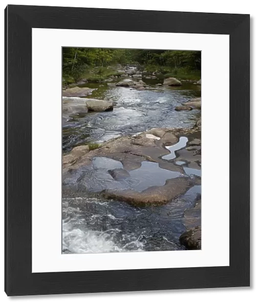Stream in the White Mountains of New Hampshire and Maine