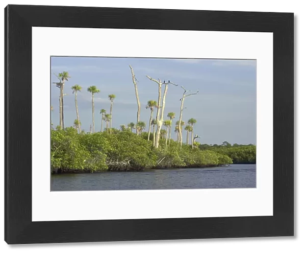 Loxahatchee River, Floridas only wild and scenic river