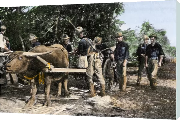 US soldiers in the Philippines after the Spanish-American War, 1899