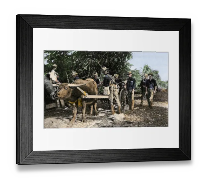 Framed Print : US soldiers in the Philippines after the Spanish-American War, 1899 Framed Print : US soldiers in the Philippines after the Spanish-American War, 1899