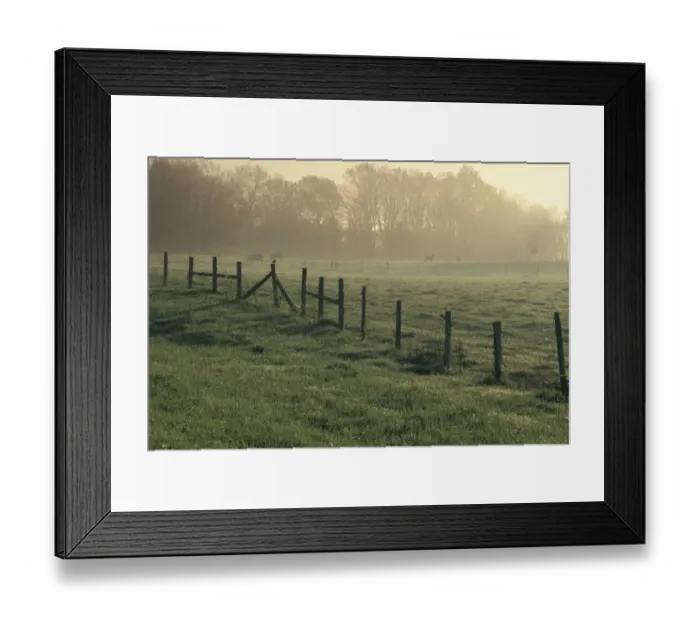 Framed Print : Cow pasture, Alabama Framed Print : Cow pasture, Alabama