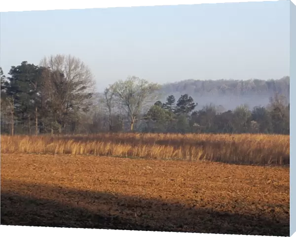 Field of red clay soil in Alabama