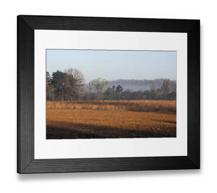 Framed Print : Field of red clay soil in Alabama Framed Print : Field of red clay soil in Alabama