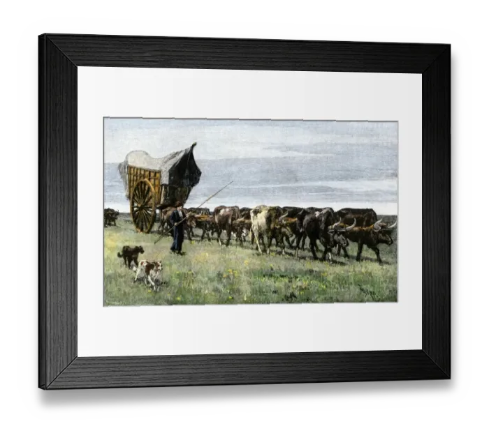 Framed Print : Travel on the pampas of Argentina, 1800s Framed Print : Travel on the pampas of Argentina, 1800s
