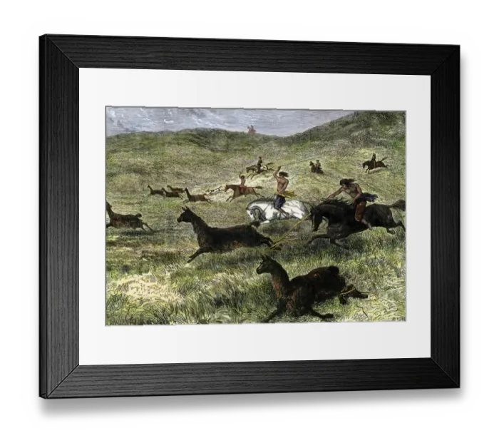 Framed Print : Bola used for hunting in Argentina Framed Print : Bola used for hunting in Argentina