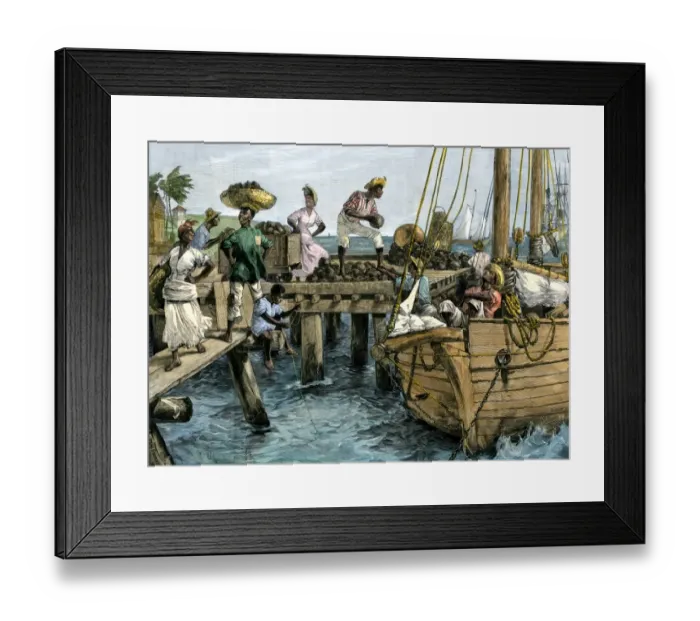 Framed Print : Natives loading a schooner with coconuts at Kingston Framed Print : Natives loading a schooner with coconuts at Kingston