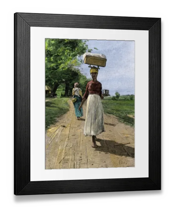 Framed Print : Jamaica woman on her way to market Framed Print : Jamaica woman on her way to market