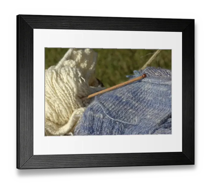 Framed Print : Knitting needles and handspun wool at a Yorktown reenactment