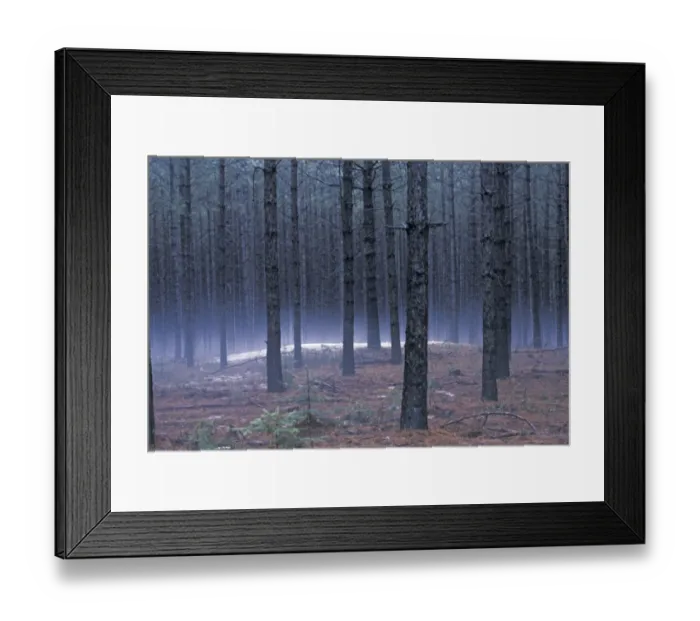 Framed Print : Native American burial mound, Wisconsin Framed Print : Native American burial mound, Wisconsin