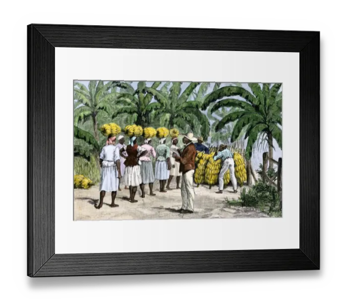 Framed Print : Jamaican women carrying bananas to a seaport Framed Print : Jamaican women carrying bananas to a seaport