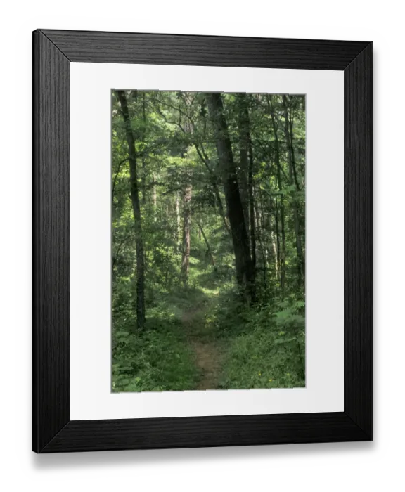 Framed Print : Pathway of the Wilderness Road Framed Print : Pathway of the Wilderness Road