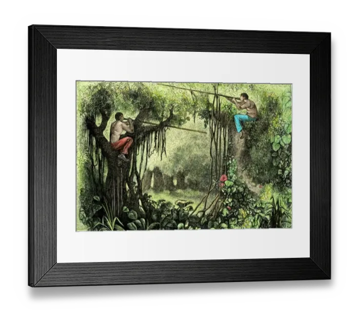 Framed Print : Brazilian natives hunting with poison blow-guns Framed Print : Brazilian natives hunting with poison blow-guns