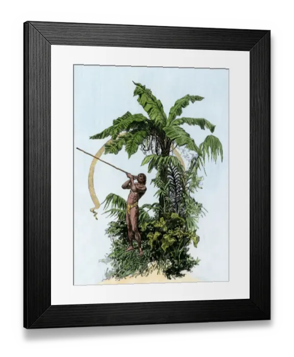 Framed Print : Weapon used by hunters of the Amazon Framed Print : Weapon used by hunters of the Amazon