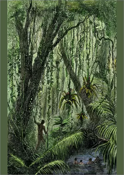 New World natives in a rain forest