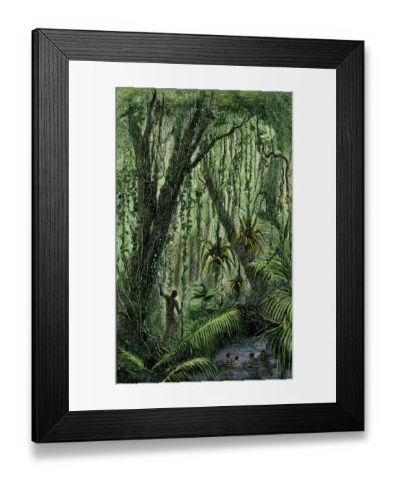 Framed Print : New World natives in a rain forest Framed Print : New World natives in a rain forest