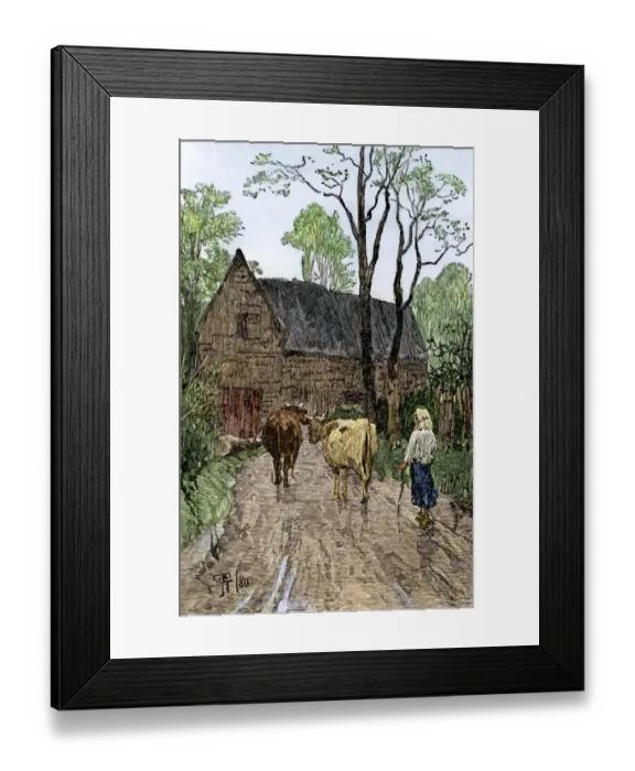 Framed Print : Colonial girl bringing the cows home Framed Print : Colonial girl bringing the cows home