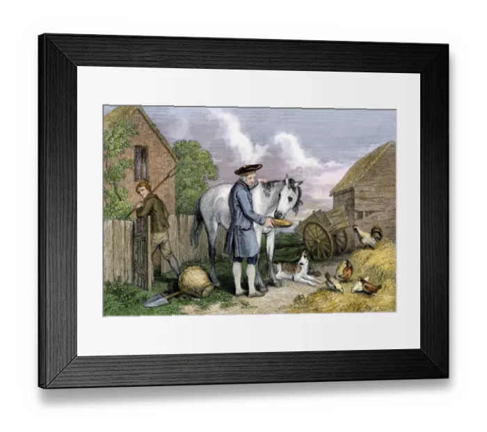 Framed Print : Robert Burnss literary mare, Maggie Framed Print : Robert Burnss literary mare, Maggie