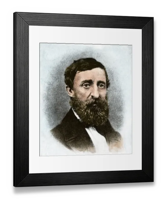 Framed Print : Henry David Thoreau at age 43 Framed Print : Henry David Thoreau at age 43