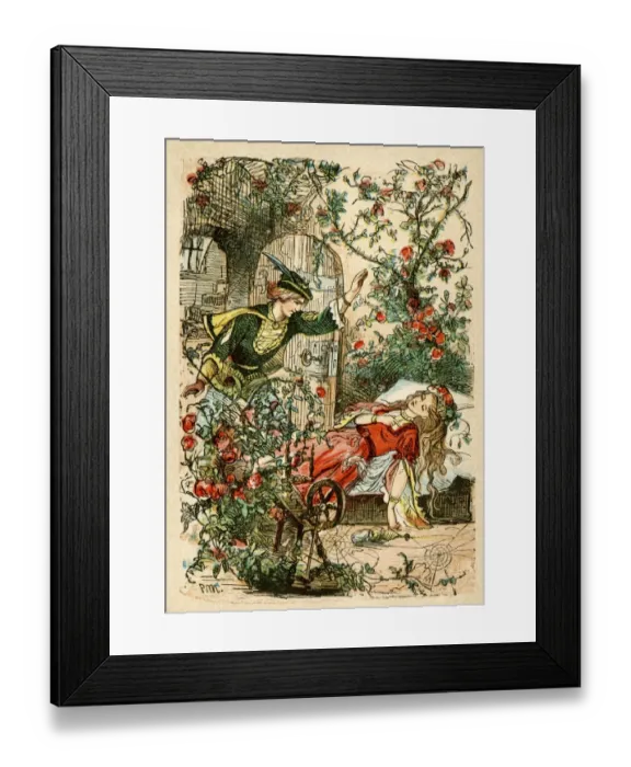 Framed Print : Sleeping Beauty