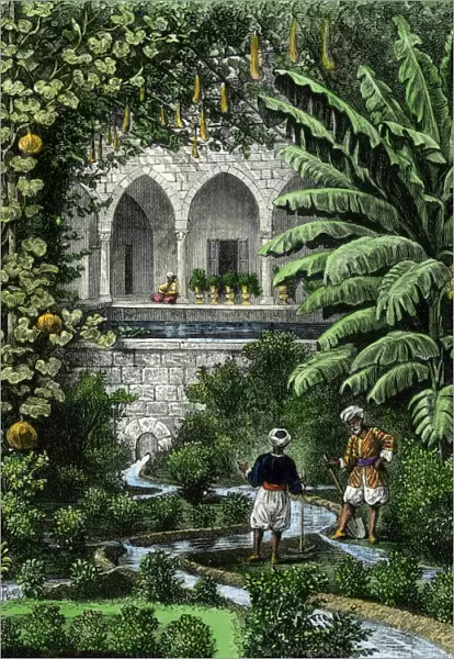 Palestinian garden, 1800s