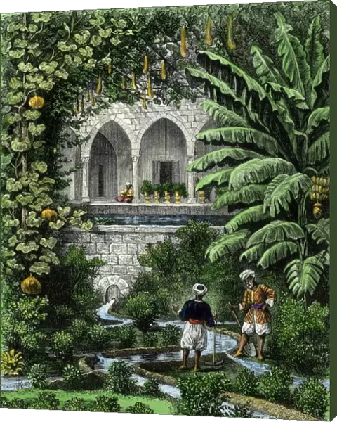 Palestinian garden, 1800s