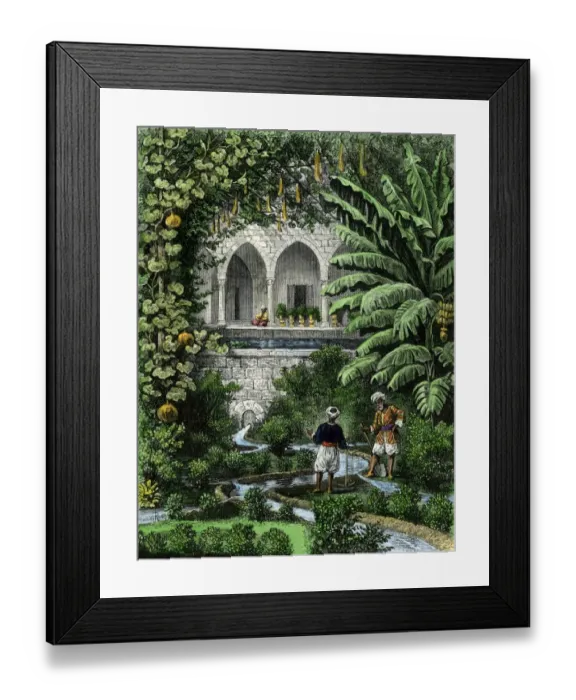 Framed Print : Palestinian garden, 1800s Framed Print : Palestinian garden, 1800s