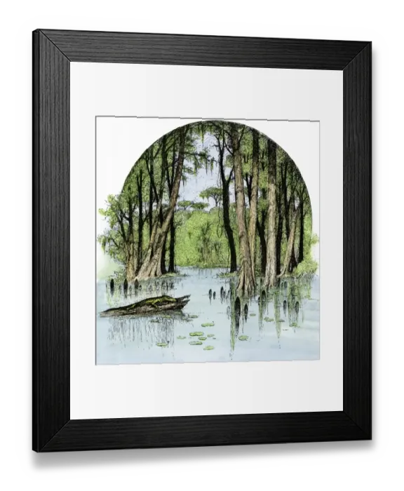 Framed Print : Mississippi River bayou Framed Print : Mississippi River bayou
