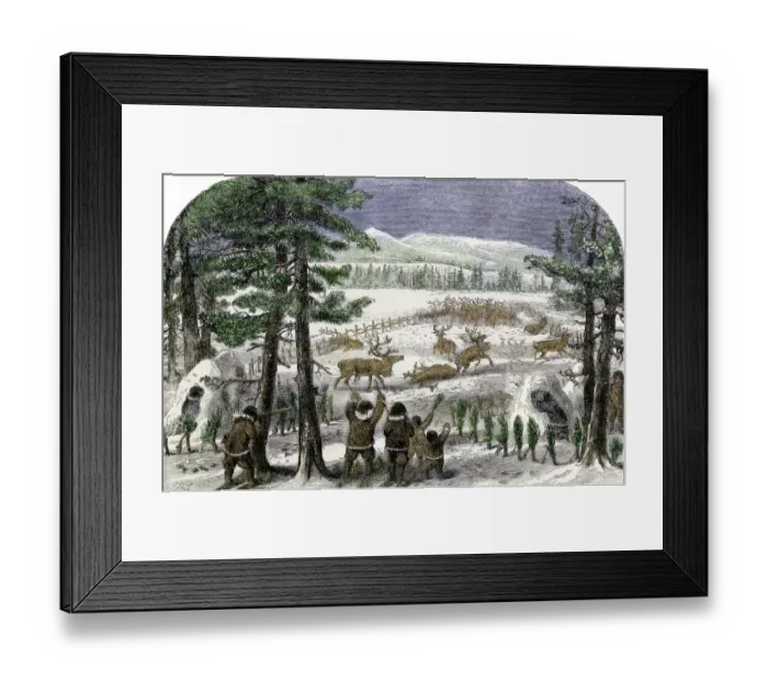 Framed Print : Native Americans herding reindeer in Alaksa Framed Print : Native Americans herding reindeer in Alaksa