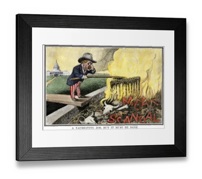 Framed Print : Cartoon of President Theodore Roosevelt as a muckraker cleaning up the meat Framed Print : Cartoon of President Theodore Roosevelt as a muckraker cleaning up the meat