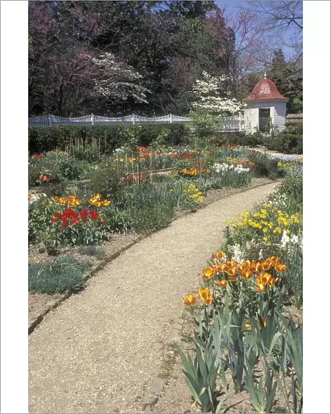Mount Vernon spring flower garden