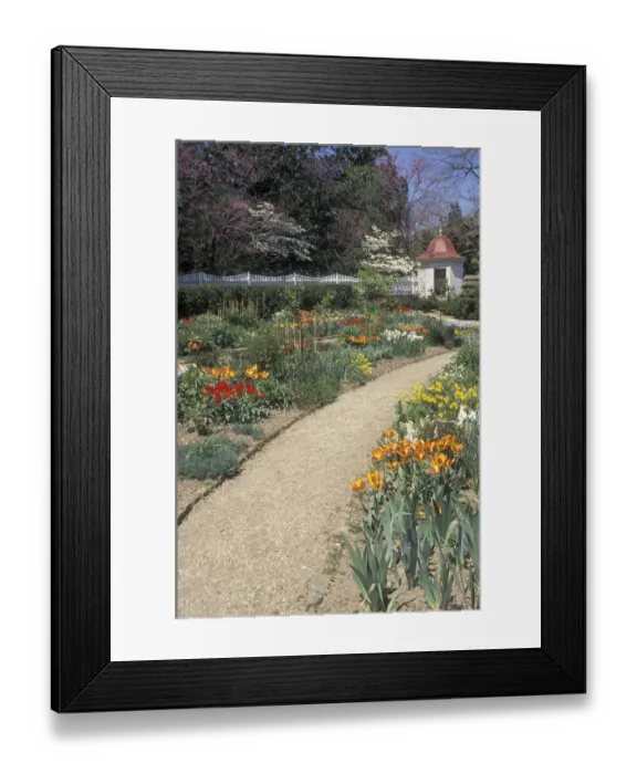 Framed Print : Mount Vernon spring flower garden Framed Print : Mount Vernon spring flower garden