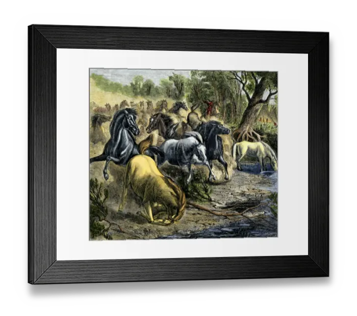 Framed Print : Native American driving horse herd to water Framed Print : Native American driving horse herd to water