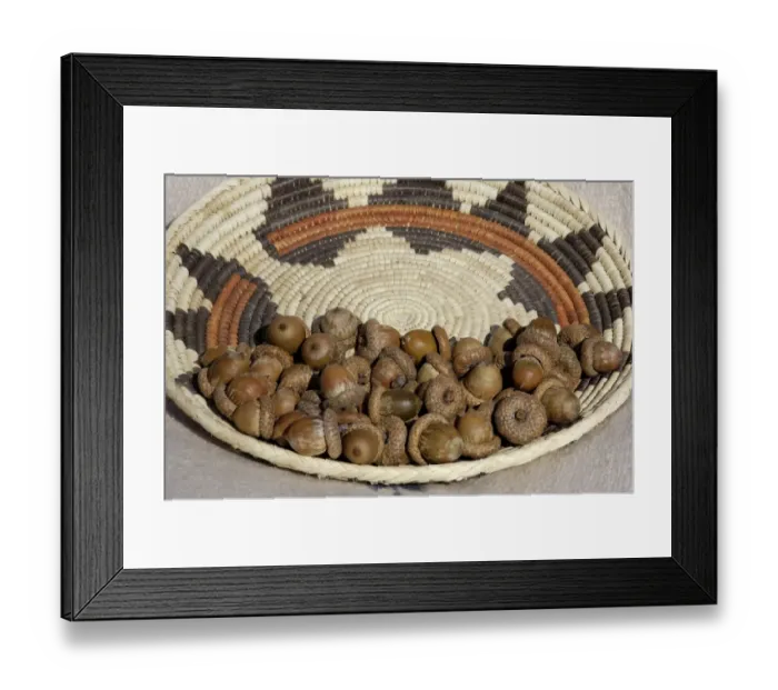 Framed Print : Acorns in a Native American basket Framed Print : Acorns in a Native American basket