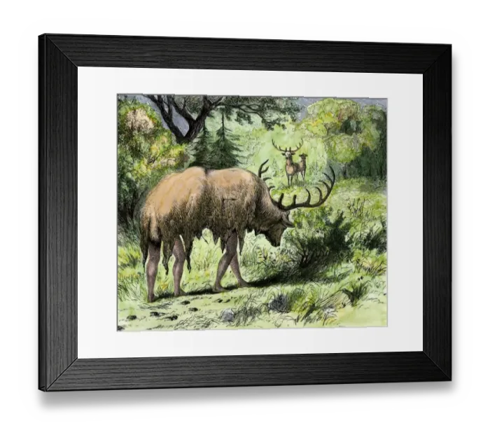 Framed Print : Native Americans hunting by masquerading as an elk Framed Print : Native Americans hunting by masquerading as an elk