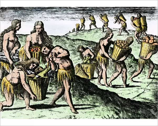 Natives gathering food in Florida, 1500s