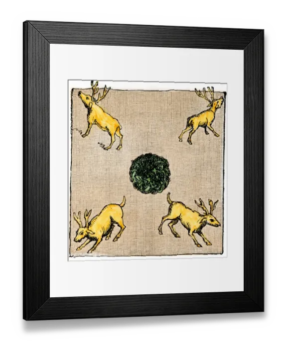 Framed Print : Totem, or tribe-mark, of the Five Iroquuois Nations Framed Print : Totem, or tribe-mark, of the Five Iroquuois Nations