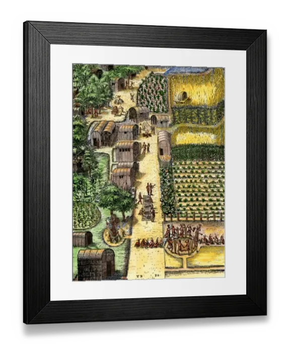 Framed Print : Native American village and gardens of Secotan Framed Print : Native American village and gardens of Secotan