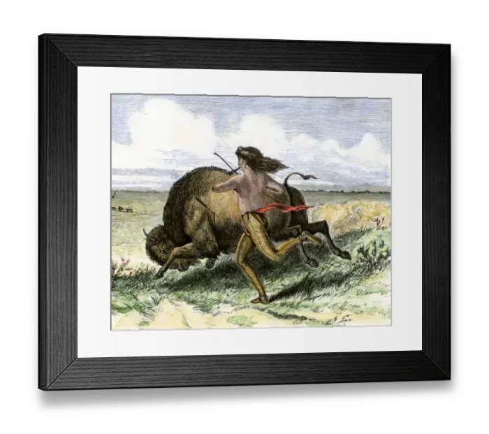 Framed Print : Native American hunting buffalo on foot Framed Print : Native American hunting buffalo on foot