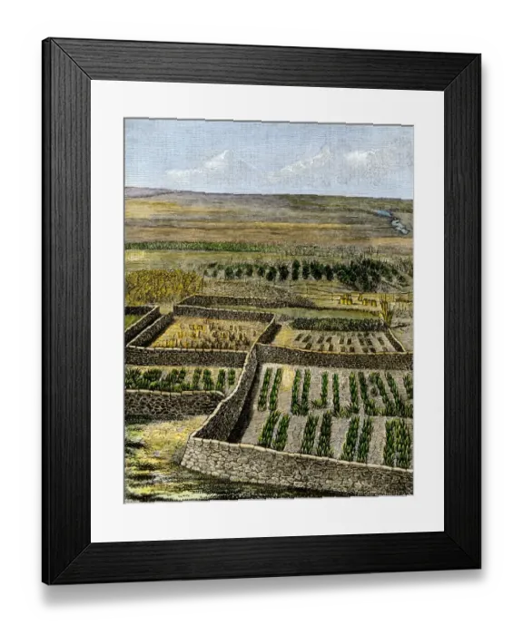 Framed Print : Zuni dry-farming agriculture Framed Print : Zuni dry-farming agriculture