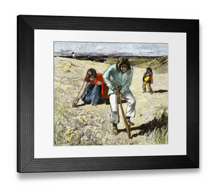 Framed Print : Zuni family planting their crops
