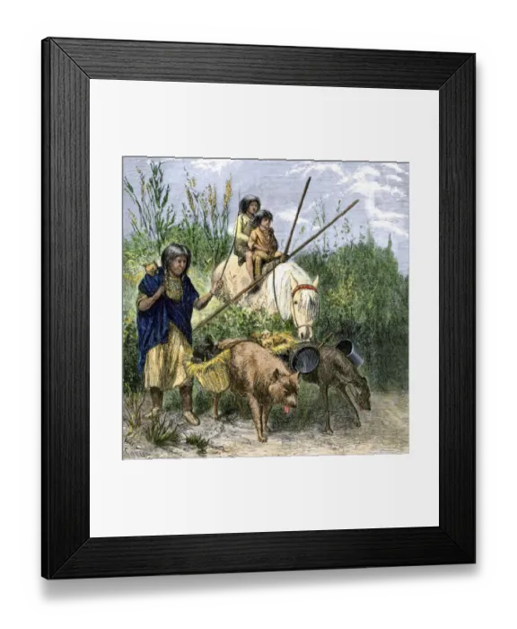 Framed Print : Native American family moving their possessions using a travois