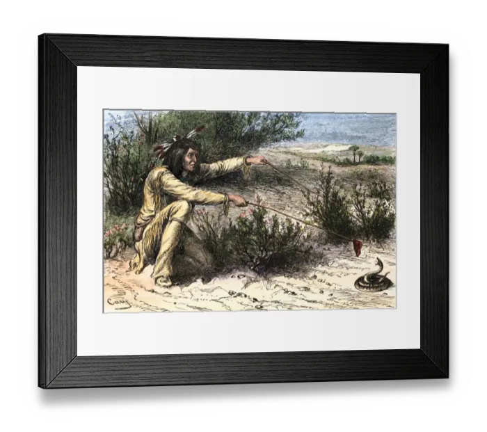 Framed Print : Apache hunter procuring poison for his arrows by causing a rattlesnake to bite Framed Print : Apache hunter procuring poison for his arrows by causing a rattlesnake to bite