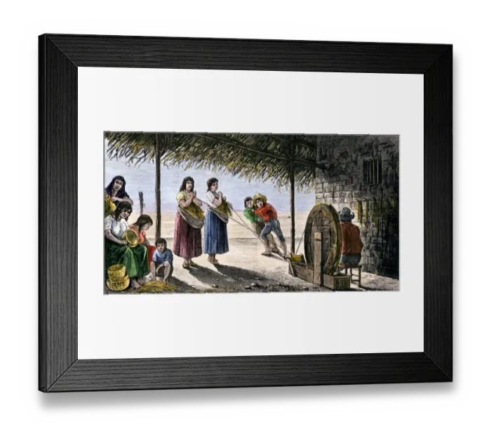 Framed Print : Mission Indians making baskets and hair ropes in southern California Framed Print : Mission Indians making baskets and hair ropes in southern California