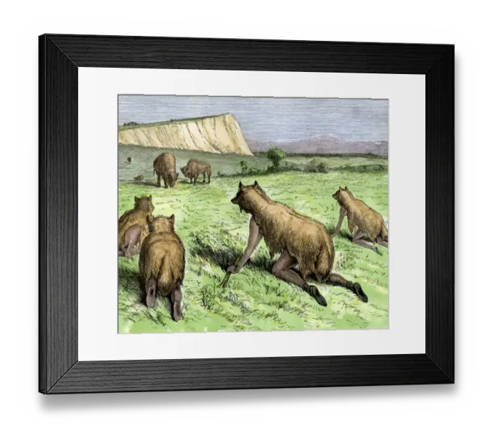 Framed Print : Plains Indians hunting buffalo by disguising themselves as wolves Framed Print : Plains Indians hunting buffalo by disguising themselves as wolves
