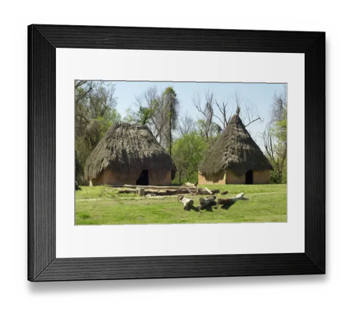 Framed Print : Thatched dwellings in Chucalissa Village Framed Print : Thatched dwellings in Chucalissa Village