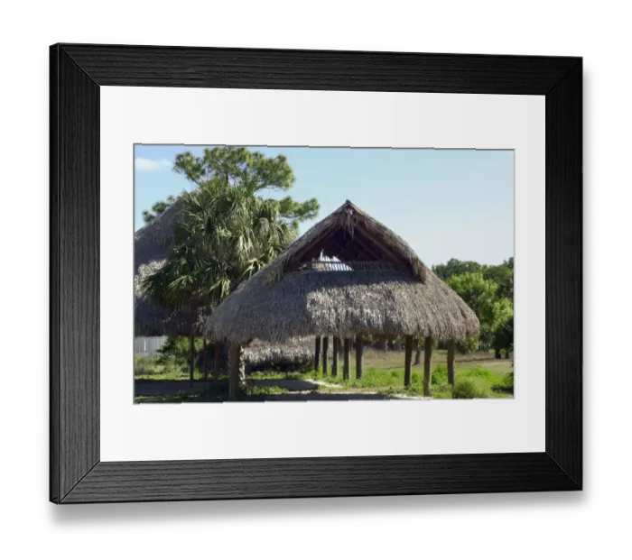 Framed Print : Traditional Seminole thatched shelter Framed Print : Traditional Seminole thatched shelter