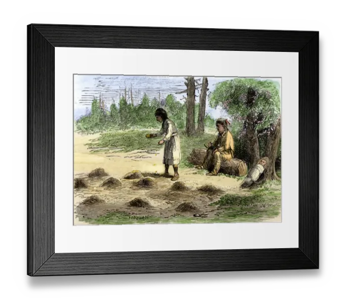 Framed Print : Native American family planting maize in hills Framed Print : Native American family planting maize in hills