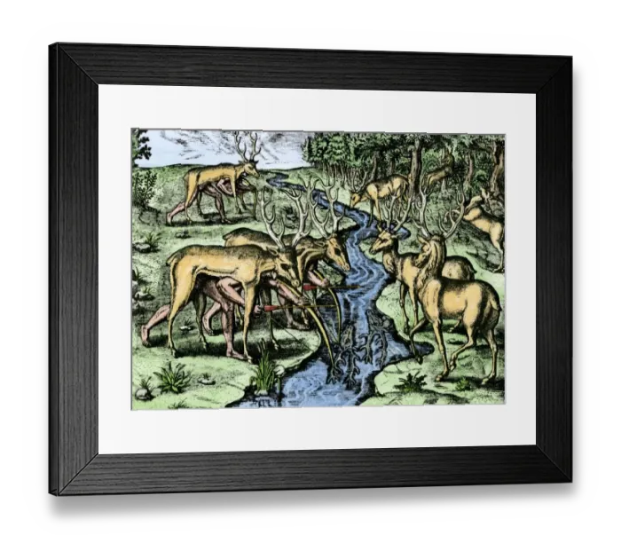 Framed Print : Southeastern Native American hunters disguised as deer Framed Print : Southeastern Native American hunters disguised as deer